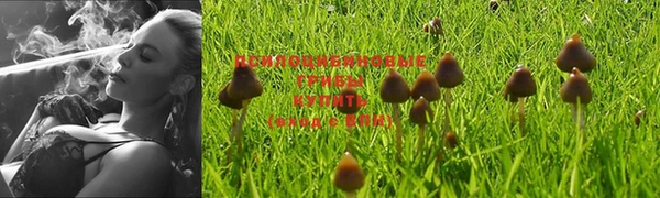 ешки Абаза