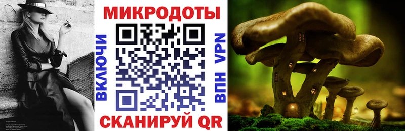 сайты даркнета формула  Рязань  Галлюциногенные грибы Cubensis 