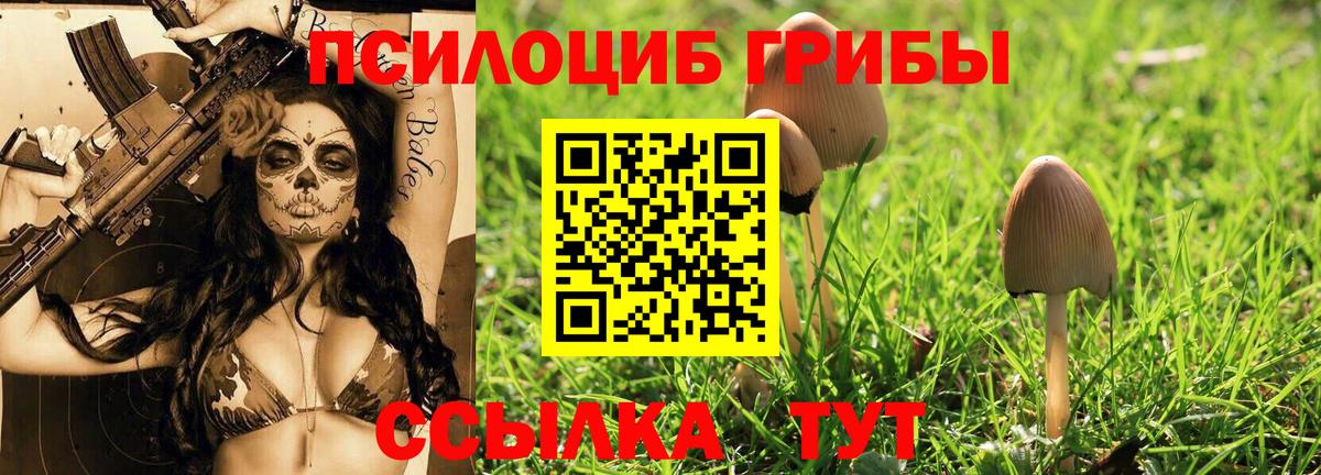 Псилоцибиновые грибы MAGIC MUSHROOMS  Вход с VPN  Рязань 